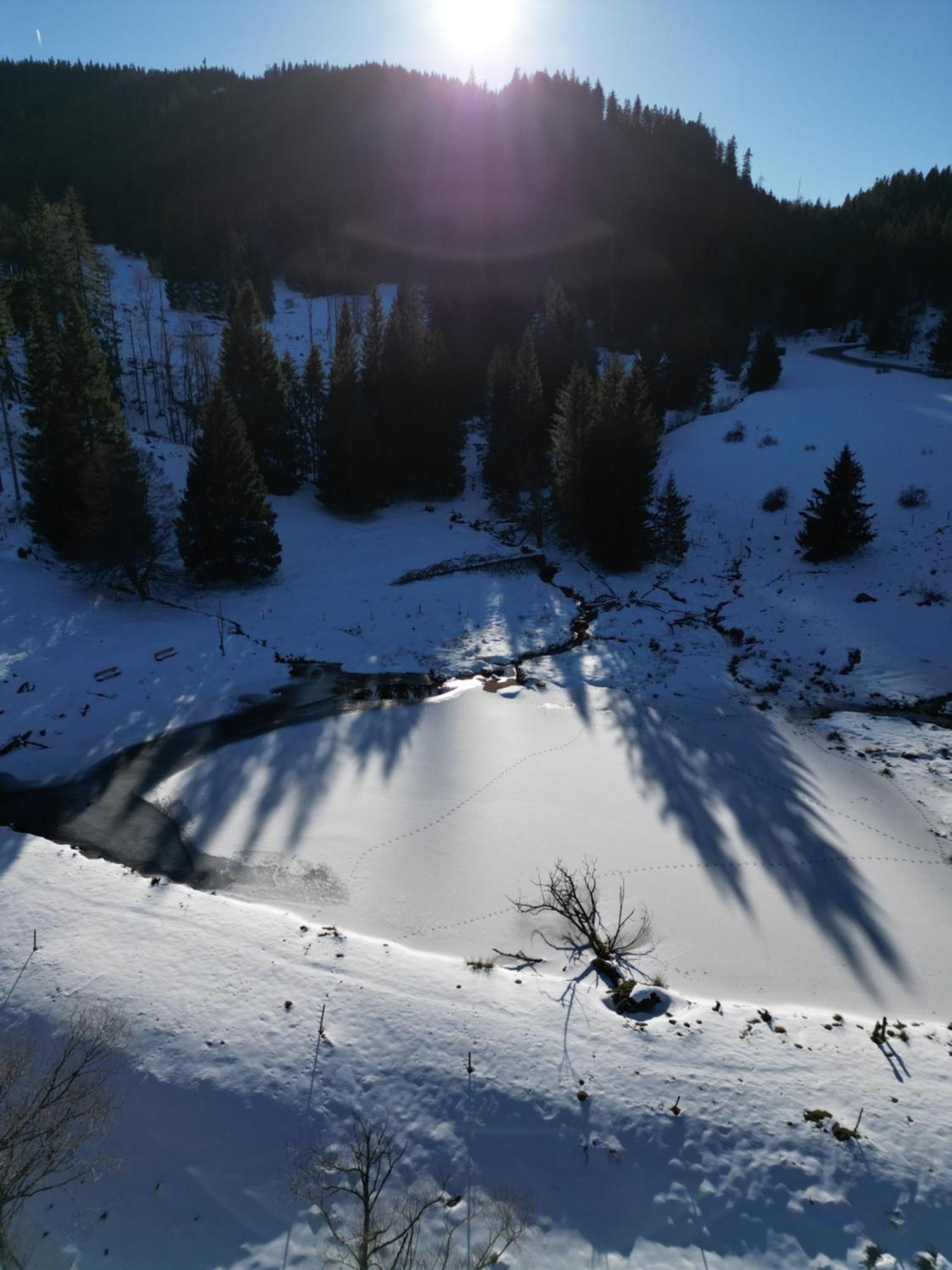 Sporthostel Roessle Schluchsee Luaran gambar